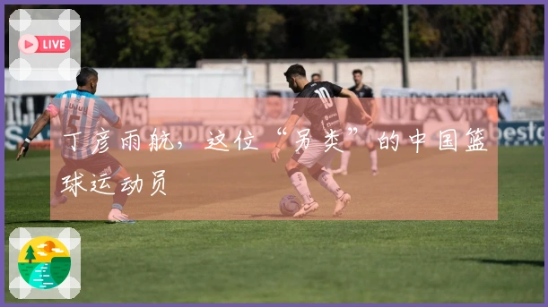 丁彦雨航，这位“另类”的中国篮球运动员